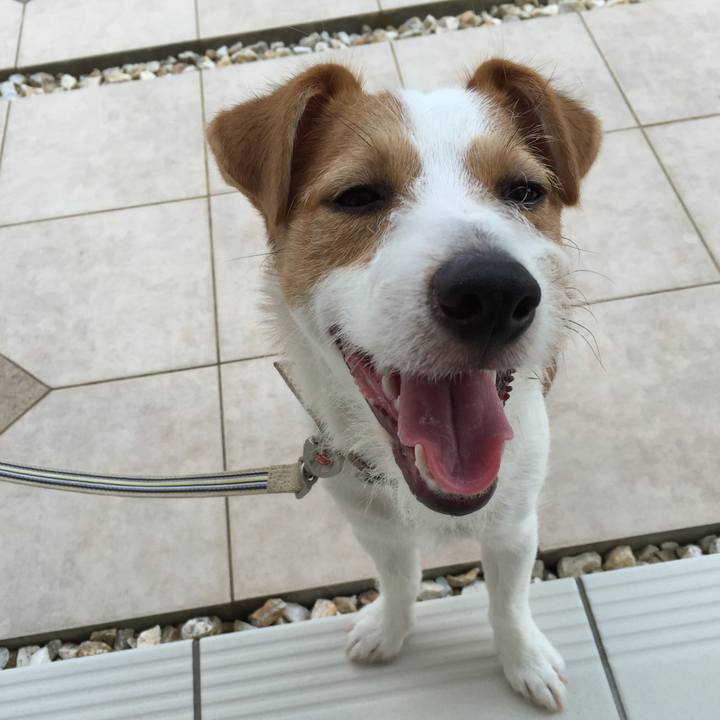 Cda1313d b3b5 4d56 ae8b 7465175781dd