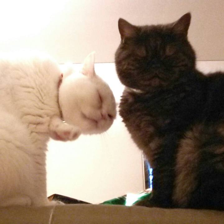 Cda20135 d3ff 4316 82fe 7f0c6111a3a7