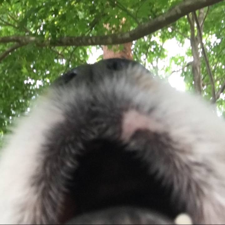 Cda22211 4868 4282 bed1 3a6c214d989a