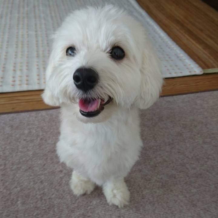 Cda28ea9 4b7c 4891 a0e1 a3acb110b36a