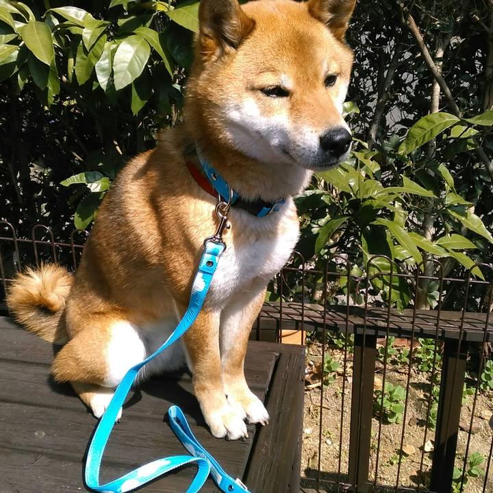 Cda2a36b afae 4493 a08e b51a9ff5c098