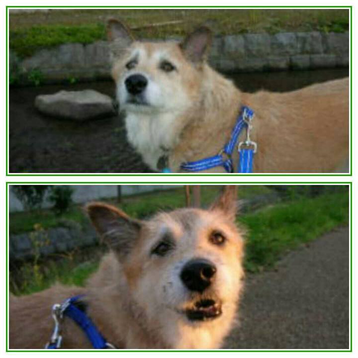 Cda42027 8dc0 4cc7 af6e bc110648c75d