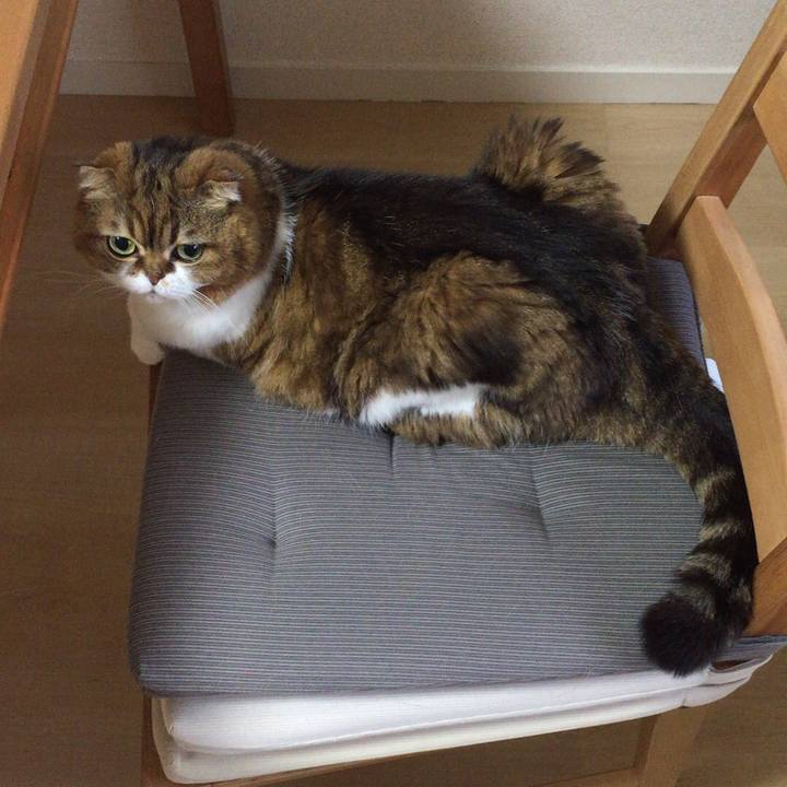 Cda56e81 ceef 43ee 8949 68eccdcf93e3