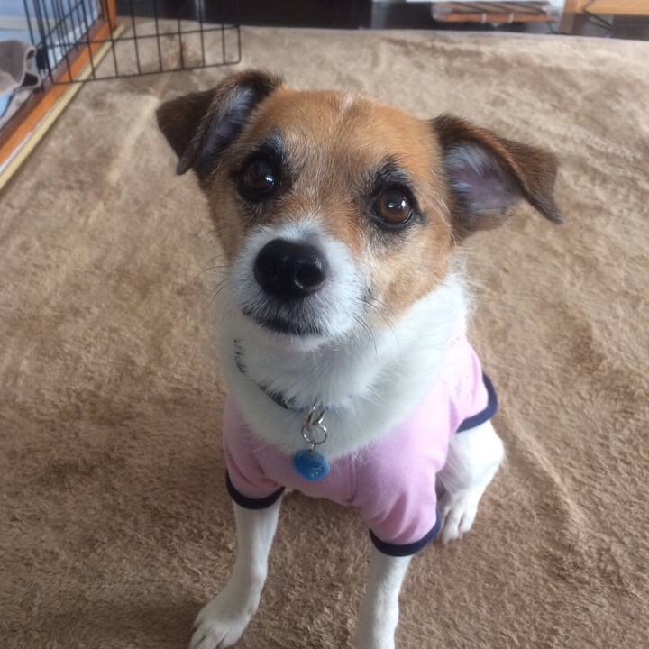 Cda6024d e866 4e54 a54f d7c44a2c7f86