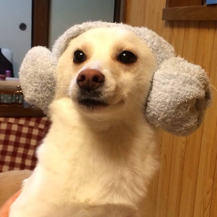 Cda6fd83 5546 469a 9f03 301e6ce300bf