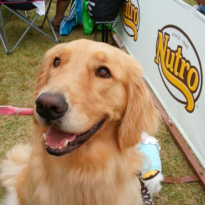 Cda6fff8 68c9 4228 aef2 bcfca7213f82