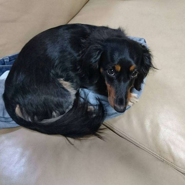 Cda81dfe 1a16 4e5a a979 65657e55eae7