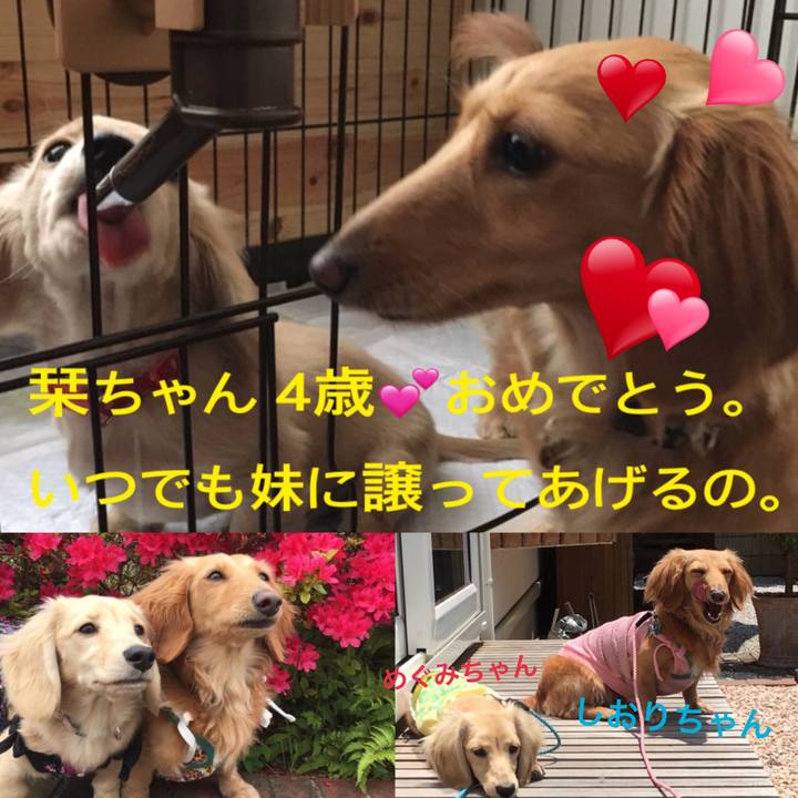 Cda84342 0bf7 4fb2 b194 6cefddfd2a2e