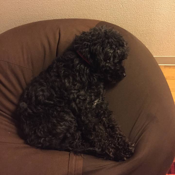 Cda8d1ca a293 419f 828e 94950f4b0bea