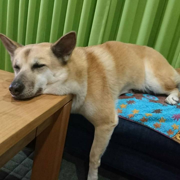 Cda95909 6d90 4683 ae5d 37f6674c6618