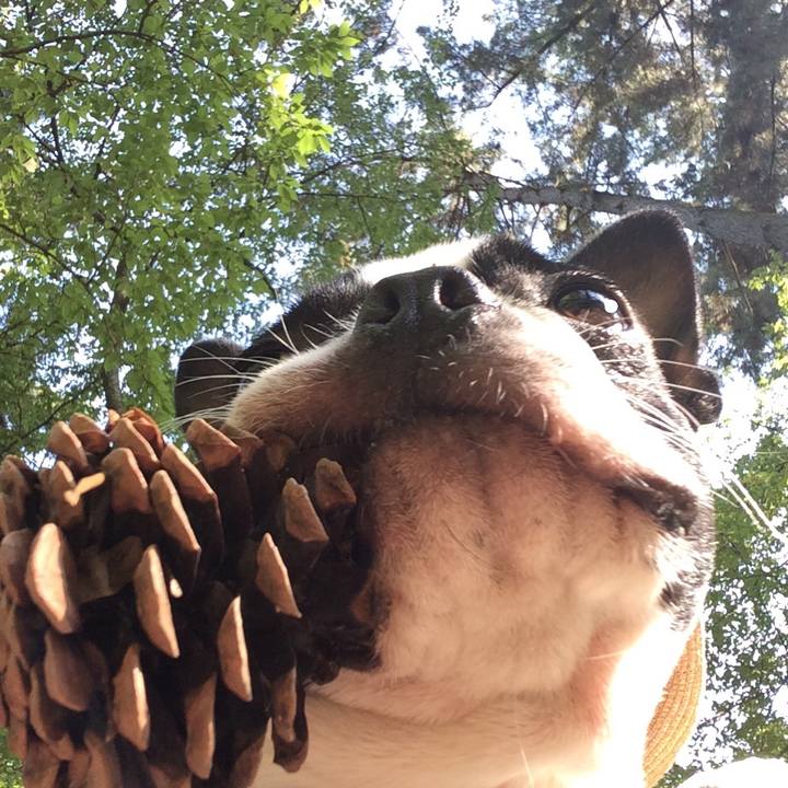 Cda97756 c6e2 4ea7 9dd7 cb3aeacbd3e4