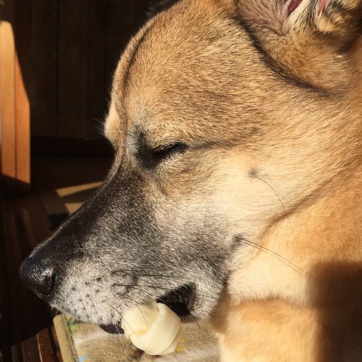 Cda9b164 6afc 461b 9137 d0732878e639