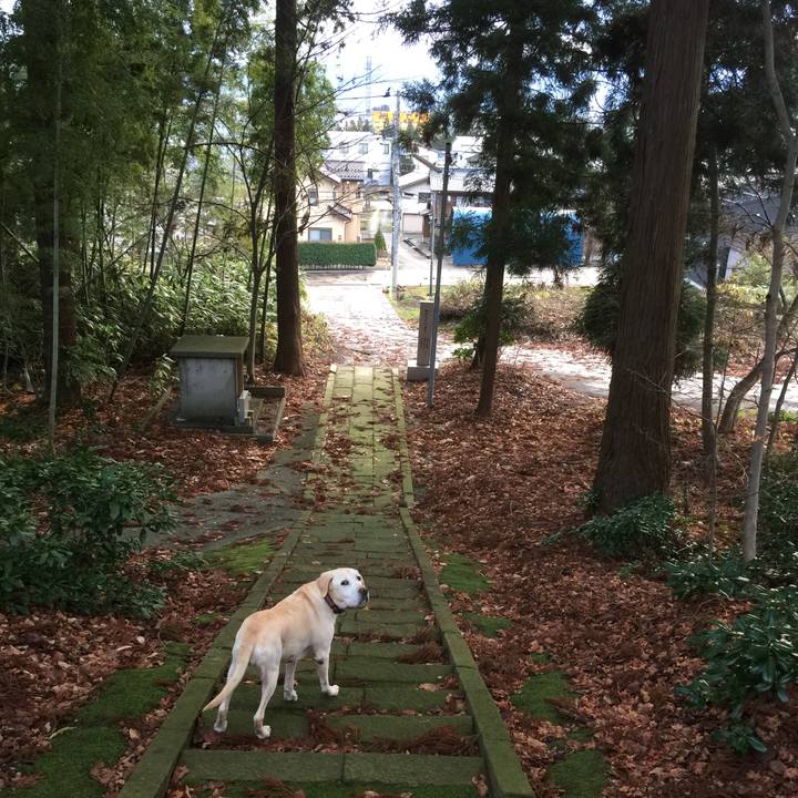 Cda9e55f de36 4feb a4e2 90679d525187