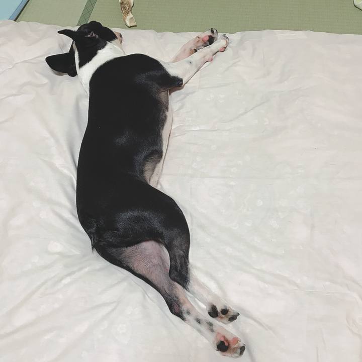 Cdab5d84 f021 4c0b be6c 49e818a9e951