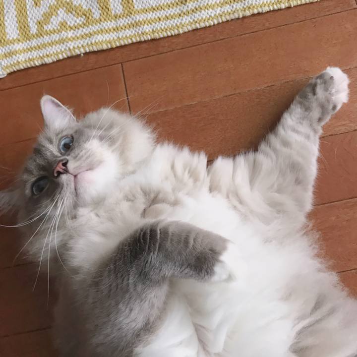 Cdabcb86 3981 41dc af05 45607f7c5a5e