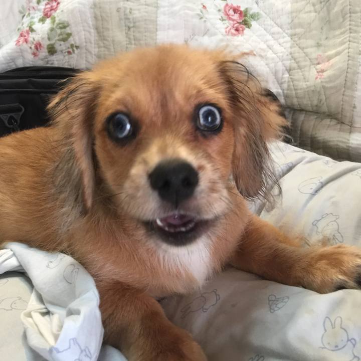 Cdac2d23 08f5 472d b8af 1ecb360701f3