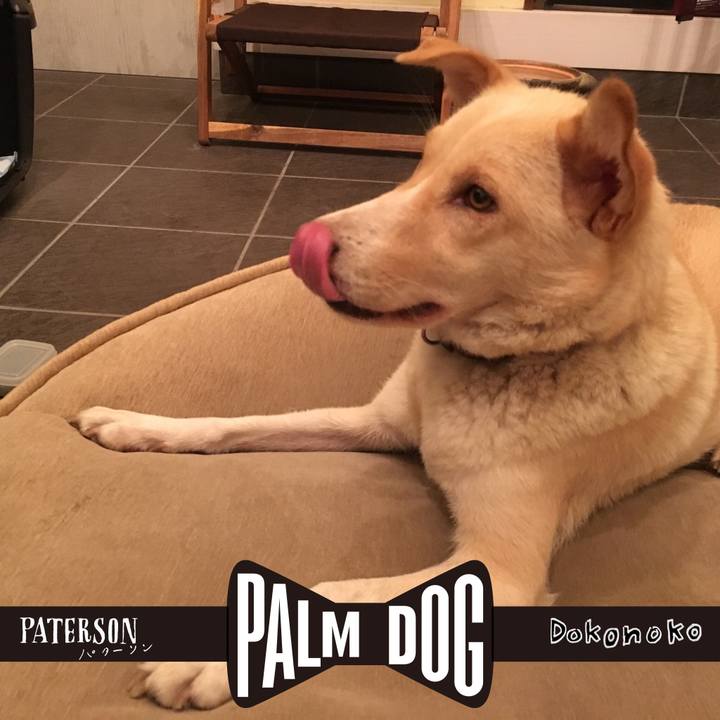 Cdac6059 6dfc 4446 982a 13056ad415ae