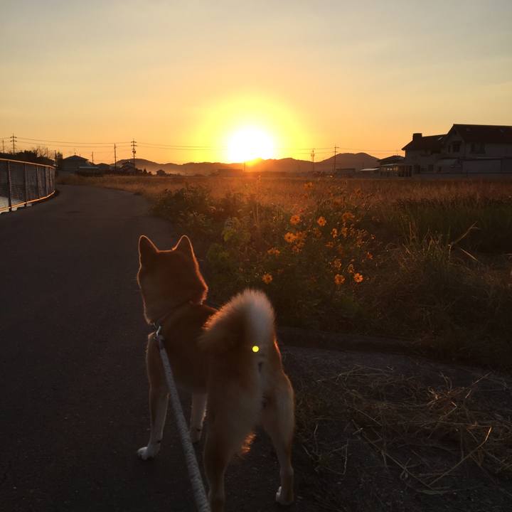 Cdac6393 10e6 4775 9d08 4fc26124c0ca