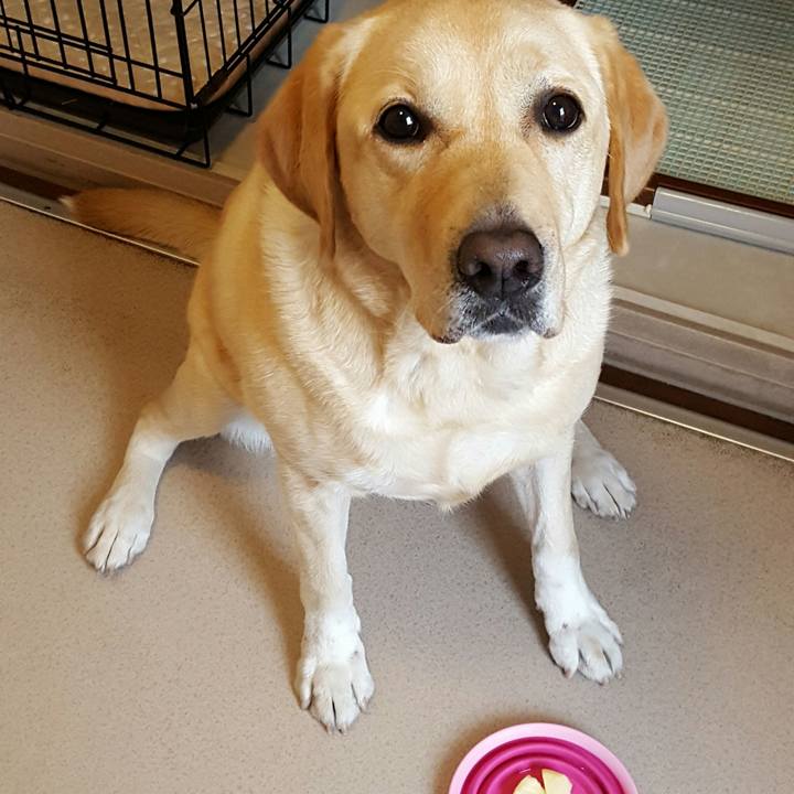 Cdac9ebf 04bb 4154 a9c3 966608ade579