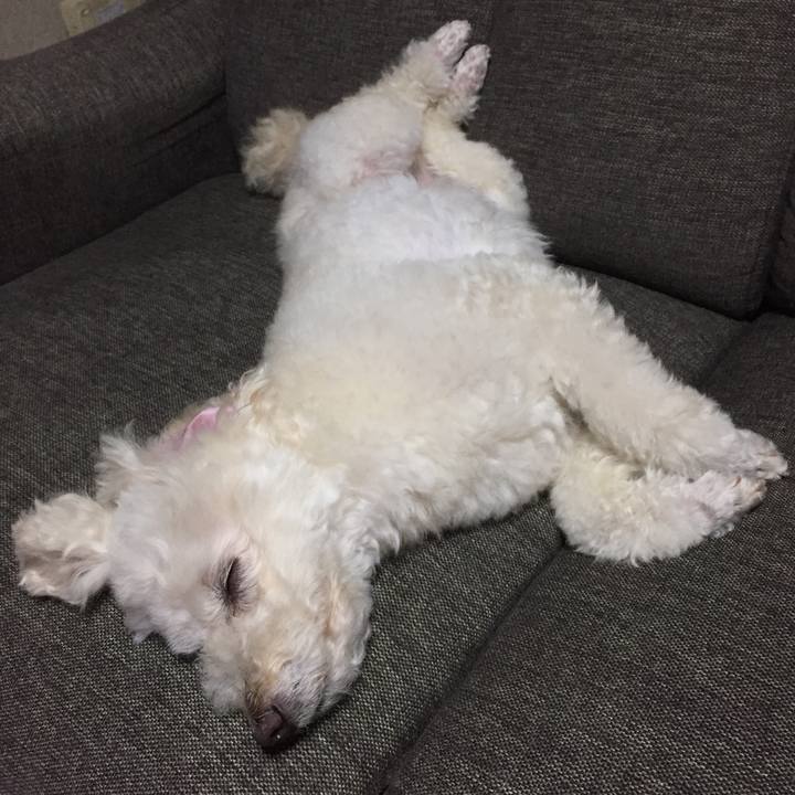 Cdace4db c20e 474a ae77 8618faf67ac7