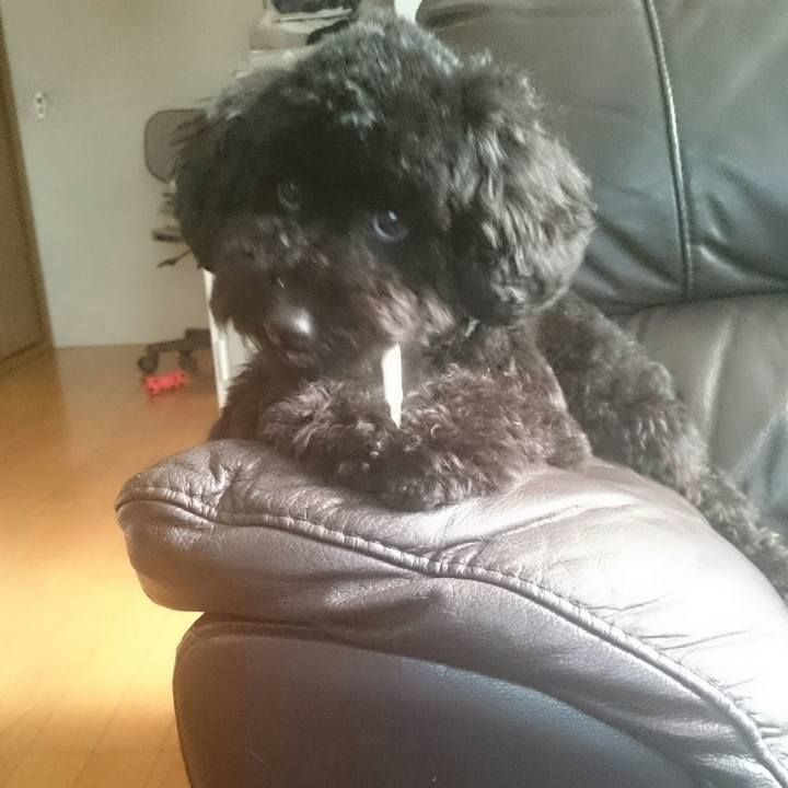 Cdacf851 3181 412a bf89 63fc933796c5