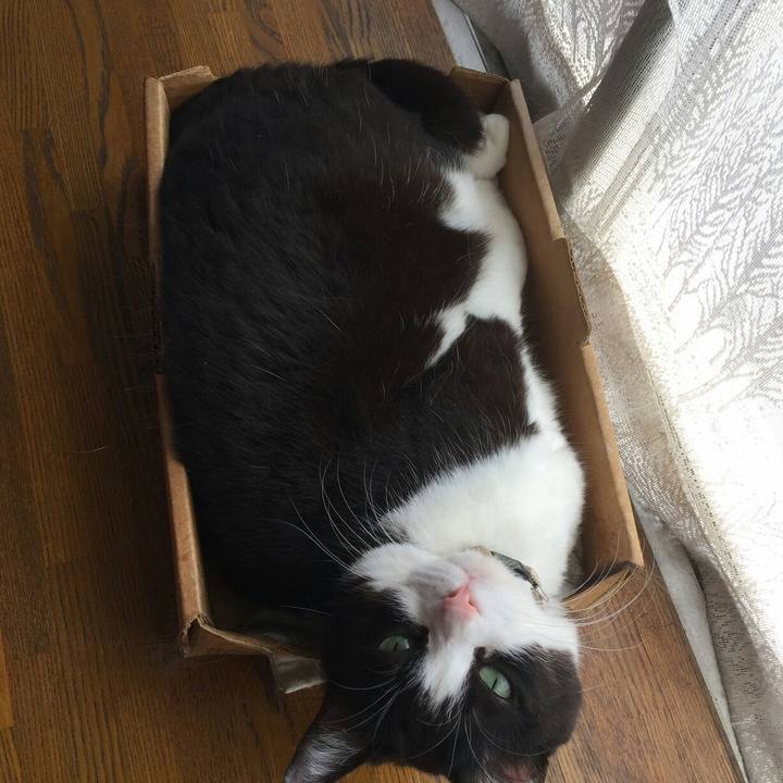 Cdad0f81 0d26 4295 b41e f6f832a946ef