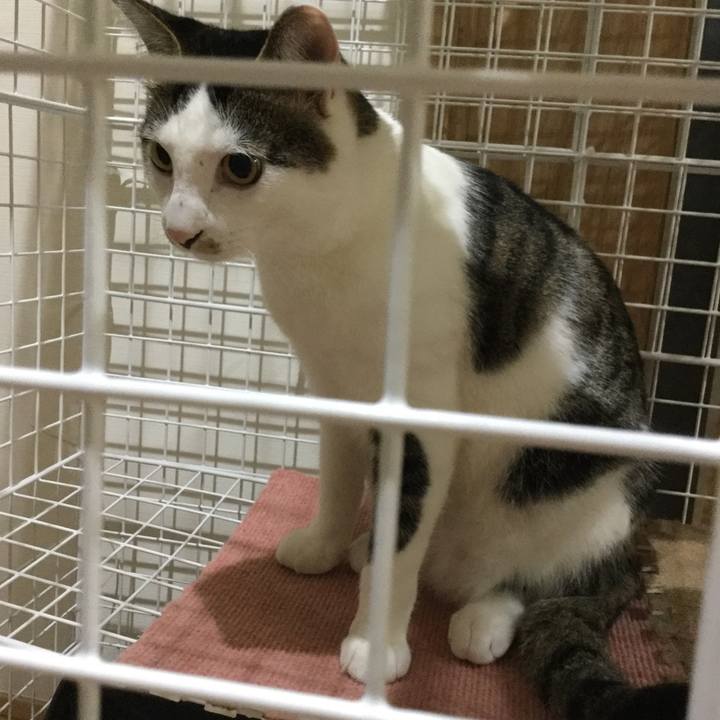 Cdad342a dceb 4091 84d8 5168c05ebb00