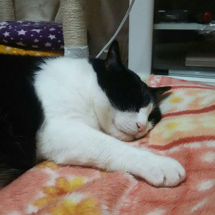 Cdadd91c f54d 42cc 91c9 68e7c9ab7f79