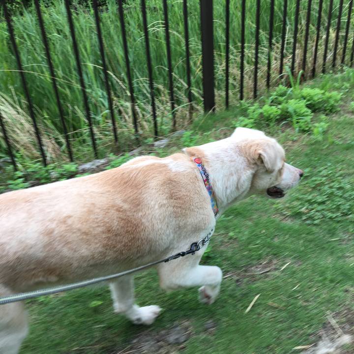 Cdadde7a ddaa 4d14 986e 46b5871f8f47