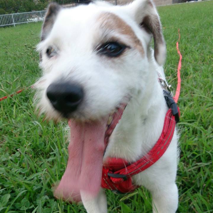 Cdaeccfe 1c96 4ad1 bfc7 2fae43d9a9e4