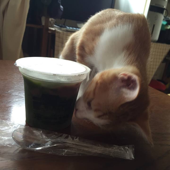 Cdafbb91 ae2b 4fa6 999c fa601a303cc2