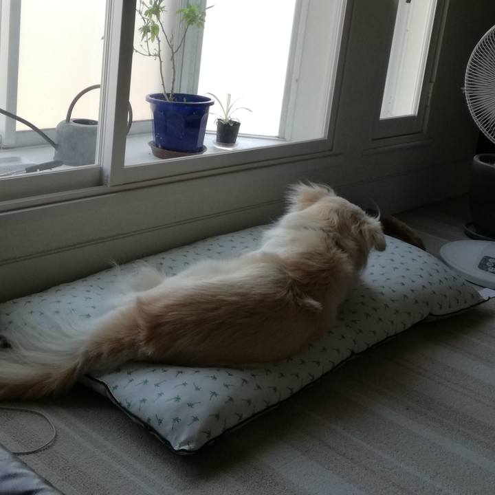 Cdb007e3 687b 4a64 830b c8cea9d84296