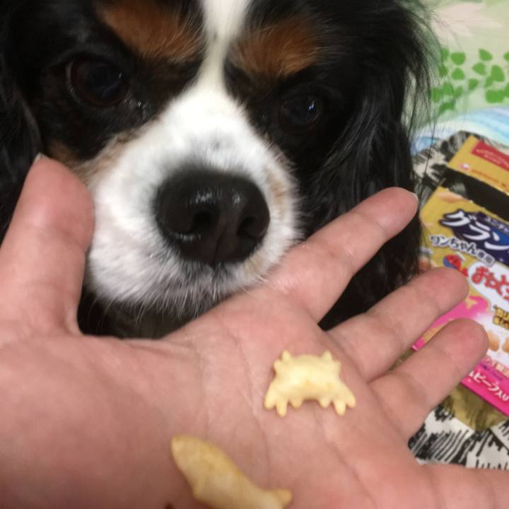 Cdb02212 9bc9 439d bc5d 2d2231d234d8