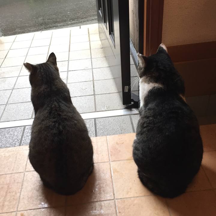 Cdb05219 2a65 409a b6c3 70706c0b71fc