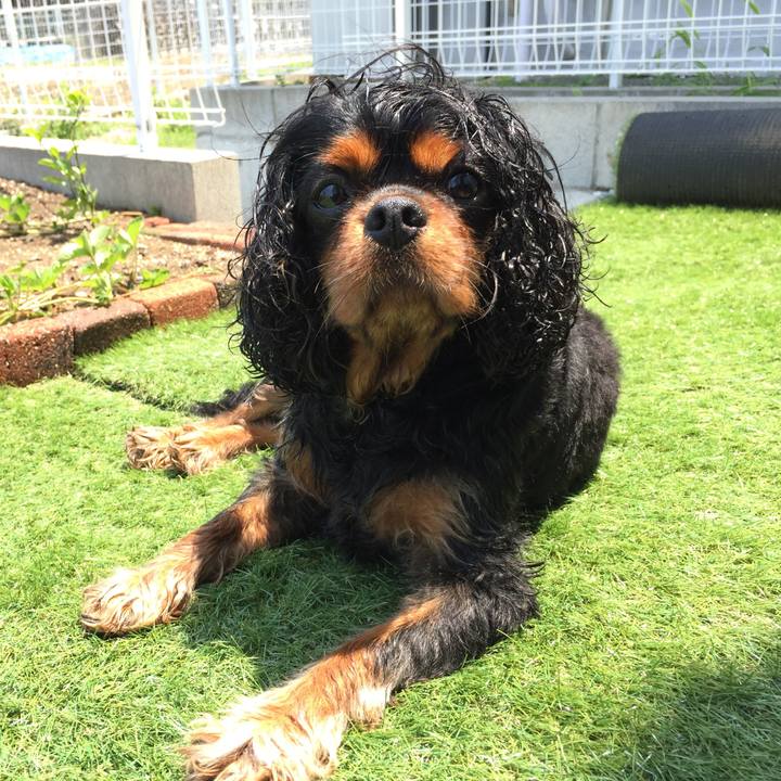 Cdb07121 fcc0 464e 80a9 58e89d50cb89