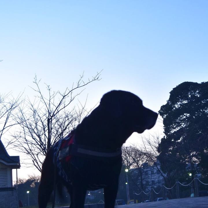 Cdb07cc1 1b20 4b16 98a6 af27655ceb17