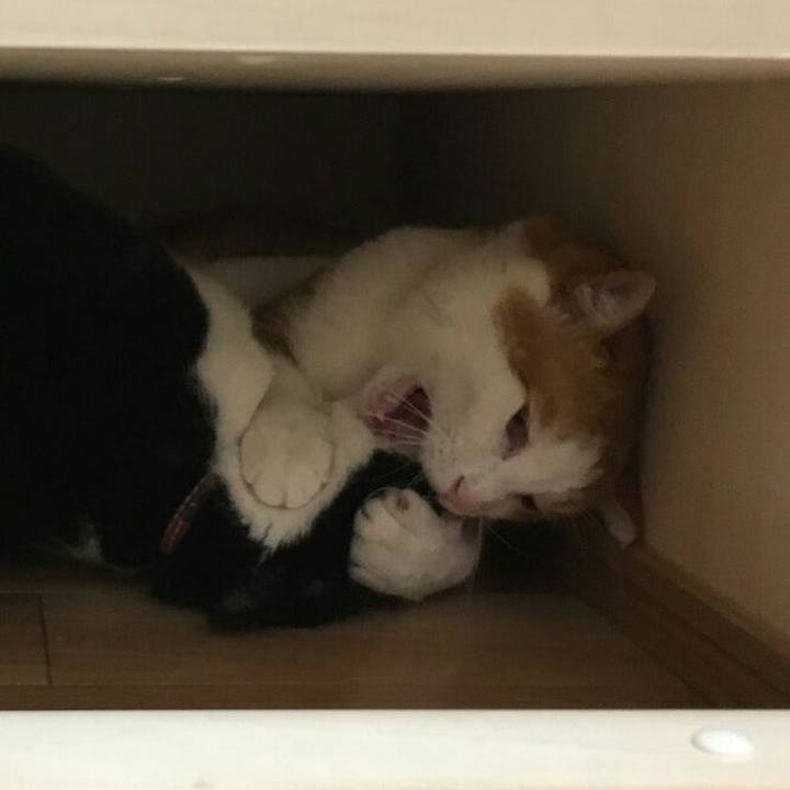 Cdb0a993 3581 411a 957b e73f8bf364a4