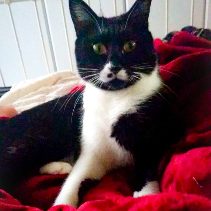 Cdb14425 b4f3 44a0 9807 7214c515d7a8