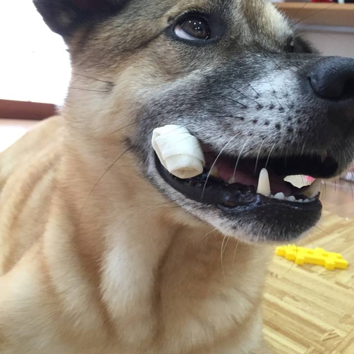 Cdb16eac 8919 48e8 af0c 2e788c18f245