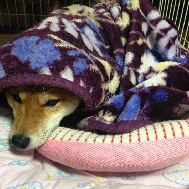 Cdb1ae90 fb84 447c bc1d 47ca3143a0de