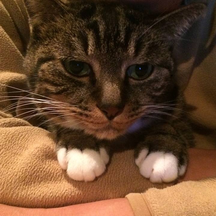 Cdb22a9f 69b9 406c 9034 1b6f3bfccb98