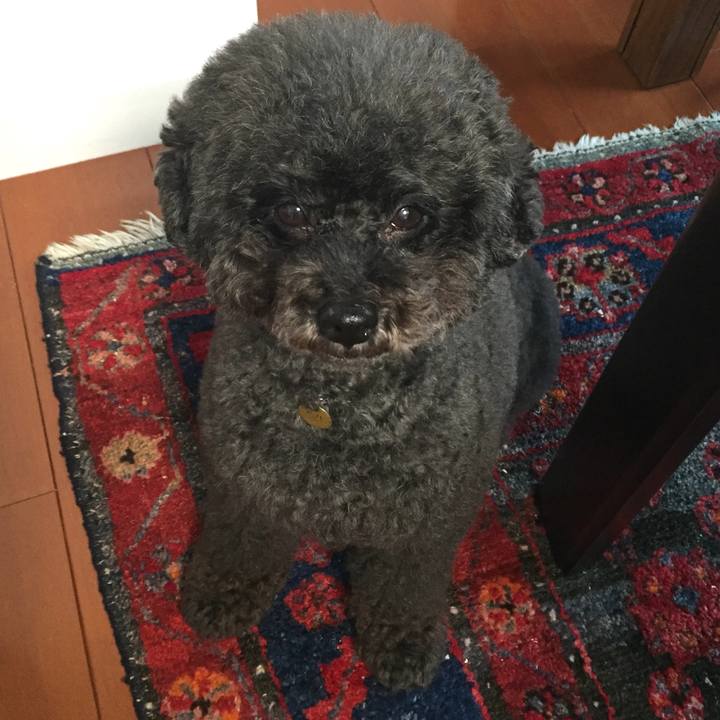 Cdb236db 11e4 4d75 bbf7 2b44322a5067