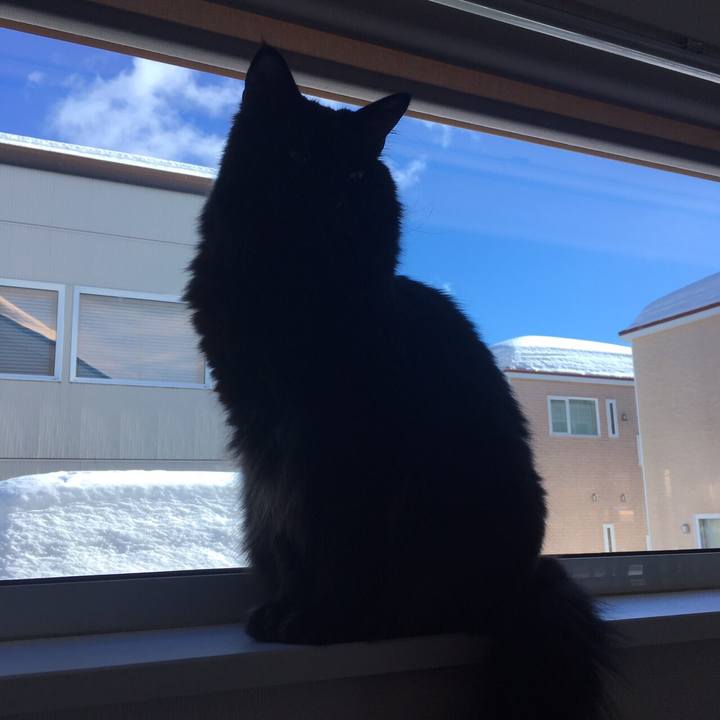 Cdb2545f b03d 4658 978f d4b2246cc4d1