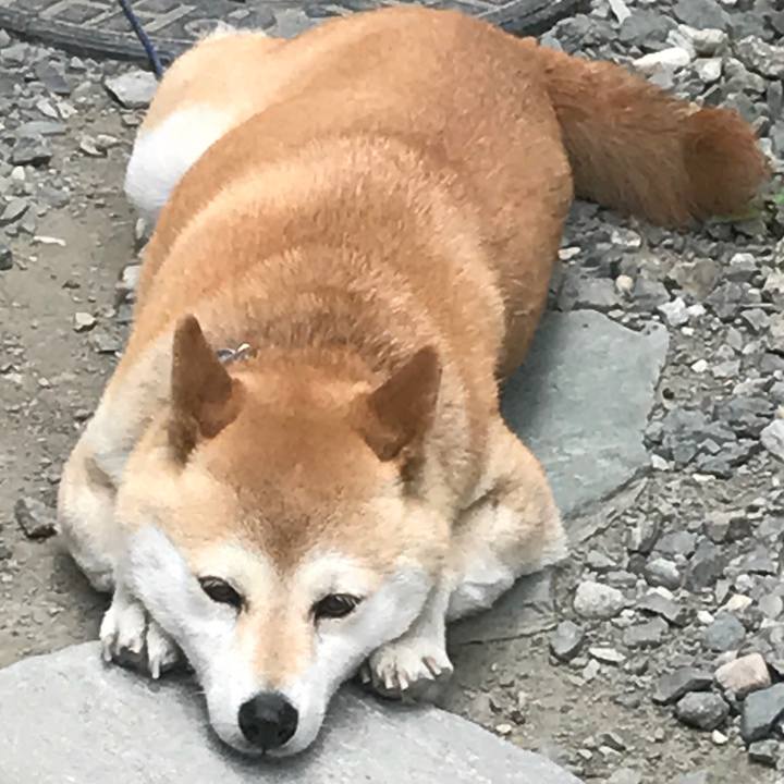 Cdb254fc f41d 4bac 8152 f80c6dcf7923