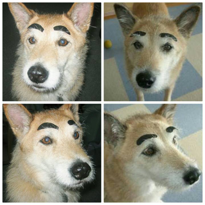 Cdb2a374 3a17 4964 b806 cec2f39d166a