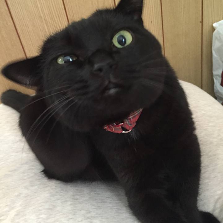 Cdb31acd ce51 4219 bd16 2da9a08d5314