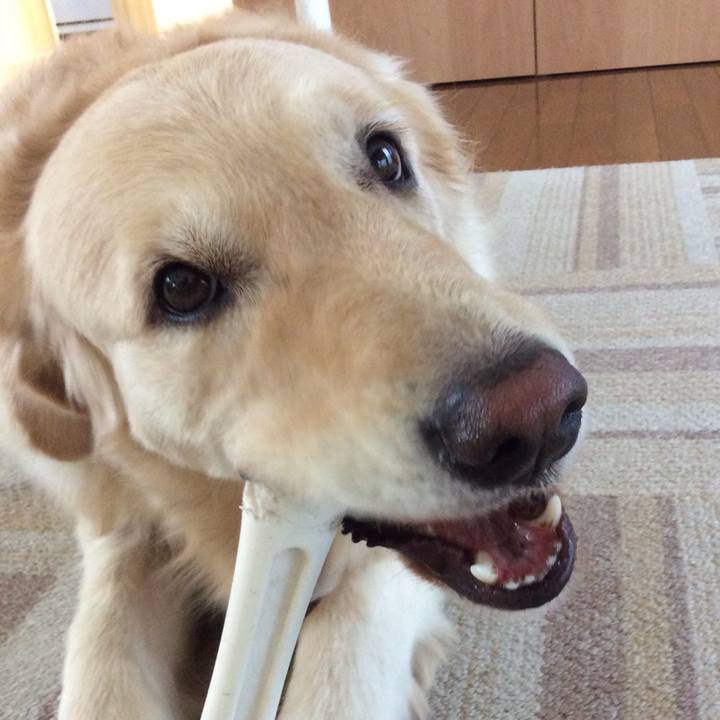 Cdb31c0e 2f6d 421e 91a5 9afff119658d