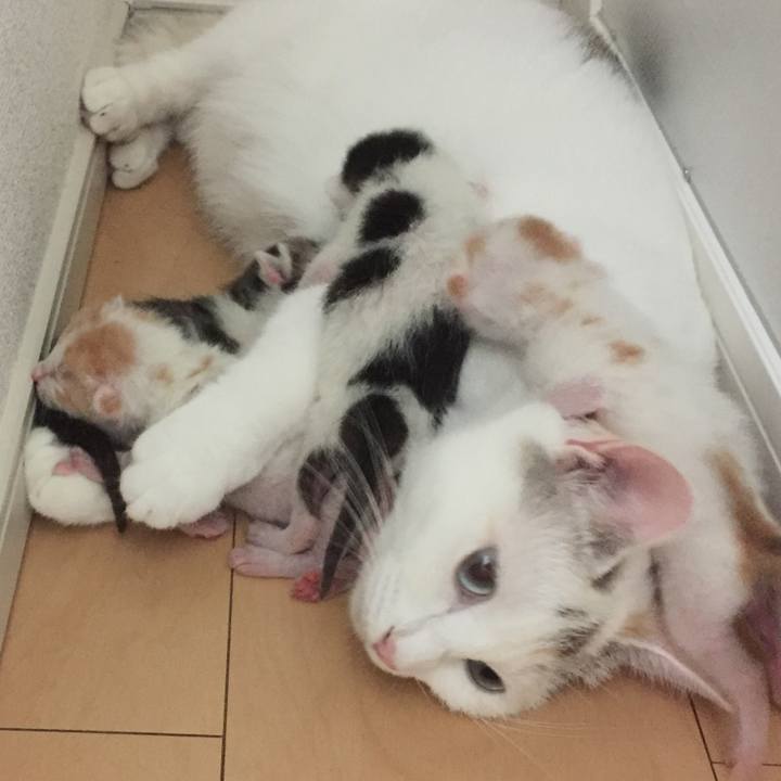 Cdb3455b d611 4c6b bc0f d0651312fd51