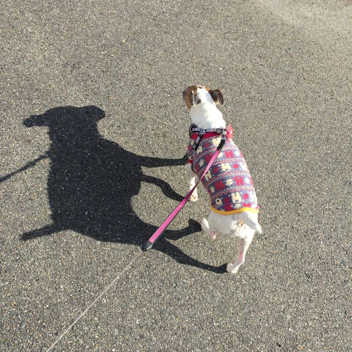 Cdb35069 305c 44e7 a239 fe6363e12a11