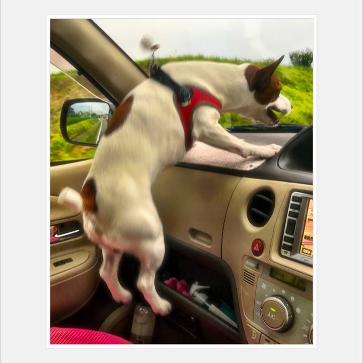 Cdb40a2e f3bc 4c3a b3bf 54b3885de093